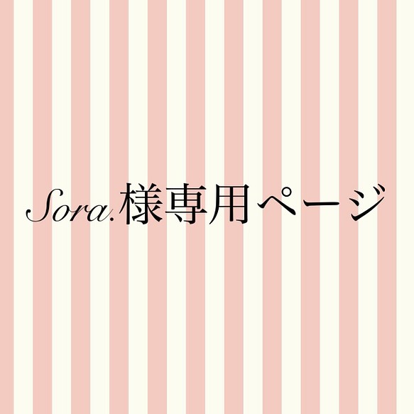 Sora.様専用ページ 1枚目の画像