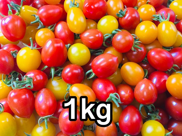 サザキ農園のカラフルミニトマト 彩りバラエティーセット1kg 1枚目の画像