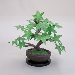 盆栽小鉢～モミジ緑「新緑」　自然素材でお作りした手しごと作品 1枚目の画像