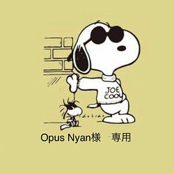 Opus Nyan様　専用 1枚目の画像