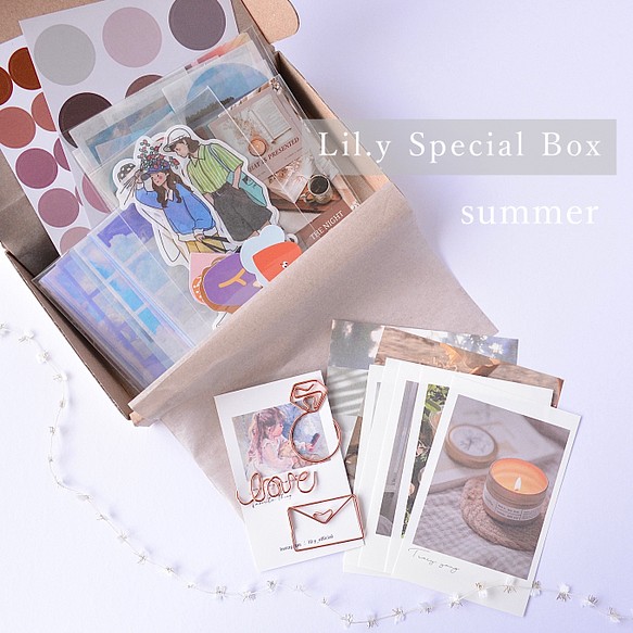 数量限定】Lil.y Special Box 《summer》海外シール詰め合わせセット