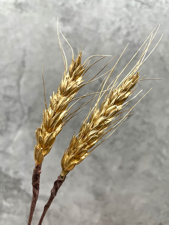 麦(ムギ)/ゴールド 髪飾り(ドライフラワー)2個 1枚目の画像