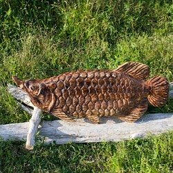 アロワナ　龍魚　「アンティーク仕上げ」　チェーンソーアート彫刻作品 1枚目の画像