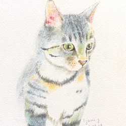 最高級品 【原画】『ボタンコレクター』（黒猫 パステル画 絵画） www