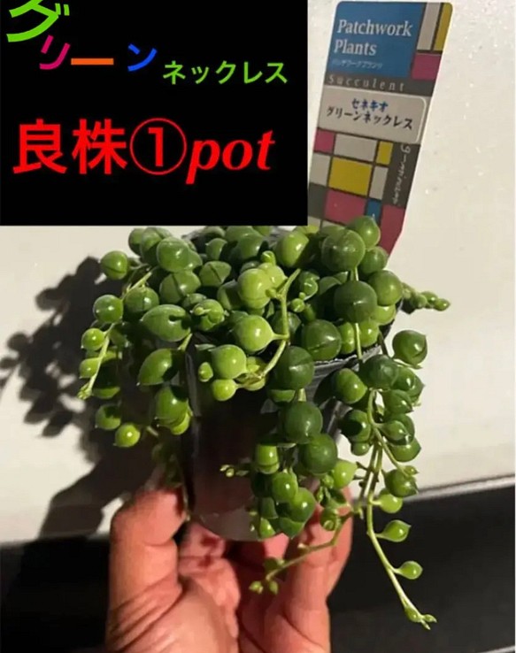 ︎ ✳️良株①pot✳️ボリューミーなグリーンネックレス✳️※お