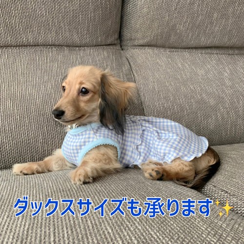 スマイル☆クローバー♧様専用 ハンドメイド犬服 ワンピース 日本直営