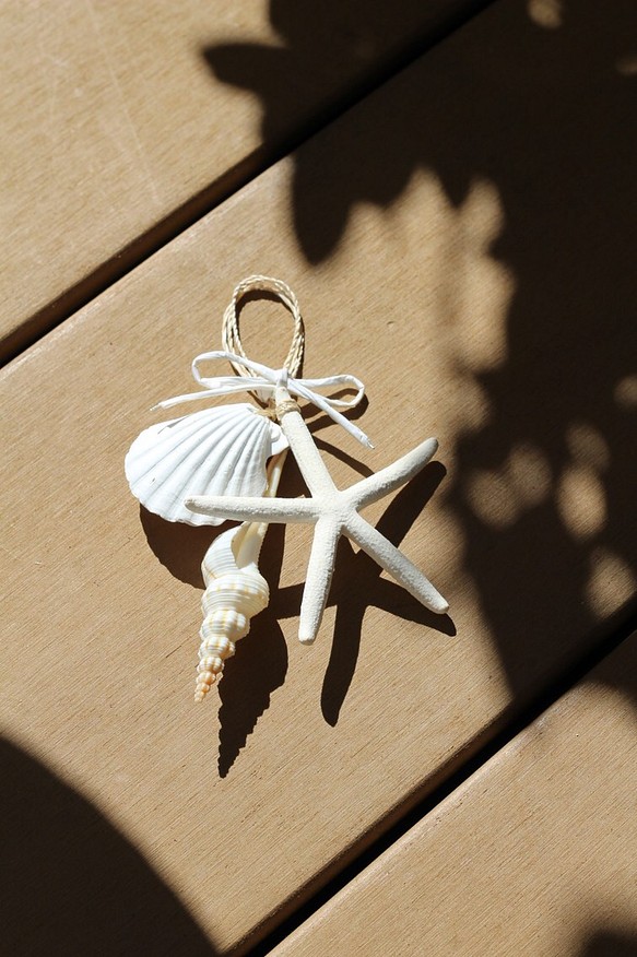 Sea shells ornament--- Sandy! 1枚目の画像