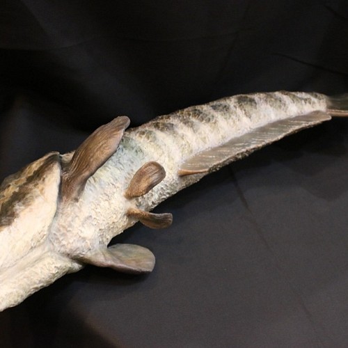 送料無料 カムルチー 雷魚 Snakehead の巨大模型 立体 オブジェ アンフィ合同会社 通販 Creema クリーマ ハンドメイド 手作り クラフト作品の販売サイト