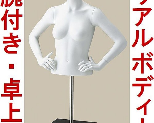 【美術用品に】ディスプレイ用　トルソー型マネキン リアルドール