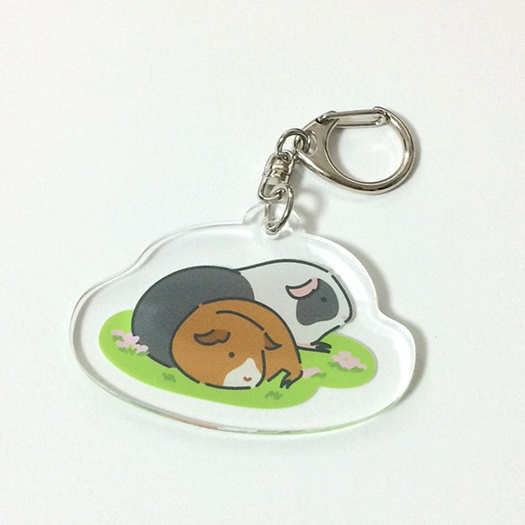 Guinea pig Key chain (Front and Behind)〜豚鼠/天竺鼠〜 第1張的照片