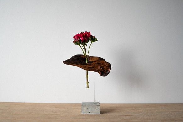 Driftwood flower vase (50) 1枚目の画像