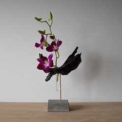 Driftwood flower vase (55) 1枚目の画像