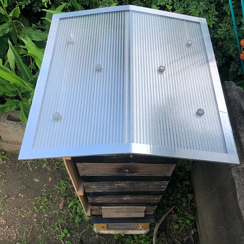 日本蜜蜂 重箱用 屋根 29cm用 ニホンミツバチ ハウス・小屋 まめしば 