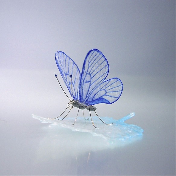 ガラスの蝶 ウスバアゲハ on リーフ 1枚目の画像