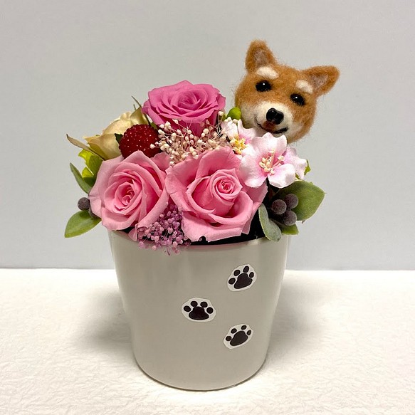 ちょこんと顔出す柴犬 プリザーブドフラワー ピンク色系 プリザーブドフラワーアレンジメント 花 犬 プレゼント フラワー リース 花とペット 通販 Creema クリーマ ハンドメイド 手作り クラフト作品の販売サイト