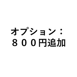オプション 追加料金ページ： ８００円 1枚目の画像