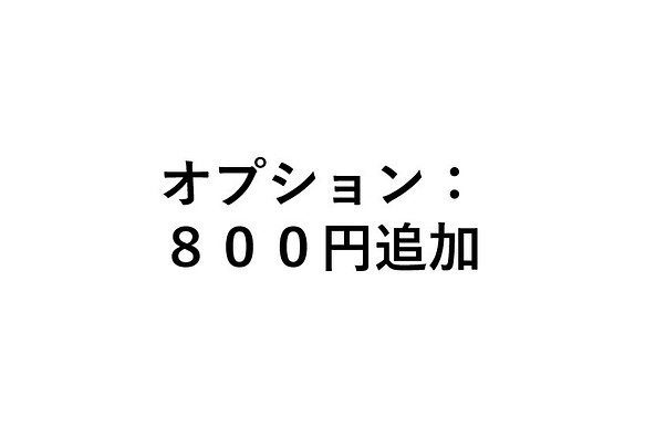 オプション 追加料金ページ： ８００円 1枚目の画像