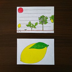 【送料無料】 メッセージカード「レモン」 1枚目の画像