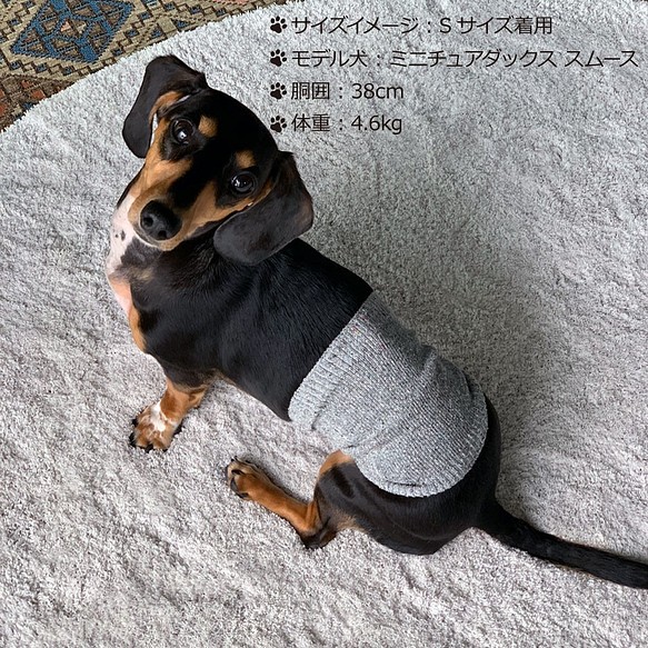 ｼﾙｸﾒﾗﾝｼﾞ ﾜﾝちゃん 超 小型犬 用 腹巻き S M その他ファッション 結糸 通販 Creema クリーマ ハンドメイド 手作り クラフト作品の販売サイト