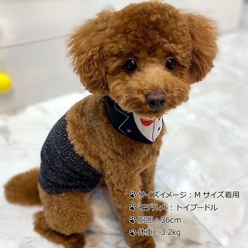 ｼﾙｸﾒﾗﾝｼﾞ ﾜﾝちゃん 超 小型犬 用 腹巻き S M その他ファッション 結糸 通販 Creema クリーマ ハンドメイド 手作り クラフト作品の販売サイト