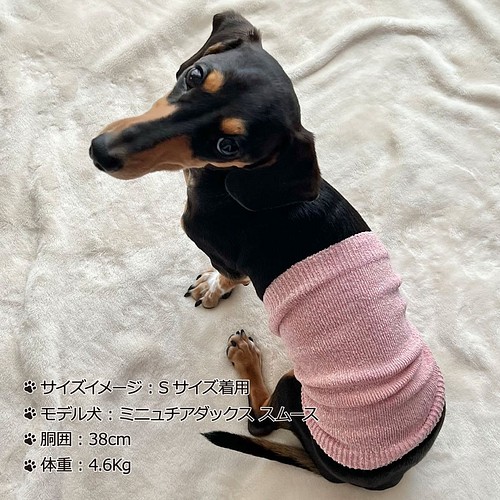 ｼﾙｸﾒﾗﾝｼﾞ ﾜﾝちゃん 超 小型犬 用ﾛﾝｸﾞﾀｲﾌﾟ腹巻き S M 靴下 タイツ 結糸 通販 Creema クリーマ ハンドメイド 手作り クラフト作品の販売サイト