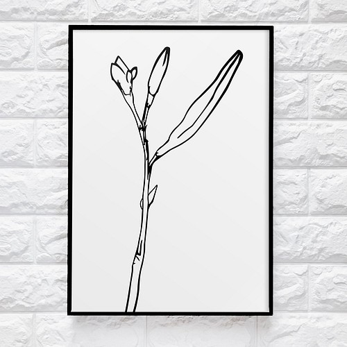 0261 アートポスター Botanical Line Drawing Mtisse Print マティス ボタニカル イラスト Hos Decor 通販 Creema クリーマ ハンドメイド 手作り クラフト作品の販売サイト