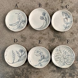 「小皿・いのちのきおくシリーズ」陶磁器、ギフト、ボタニカル 1枚目の画像