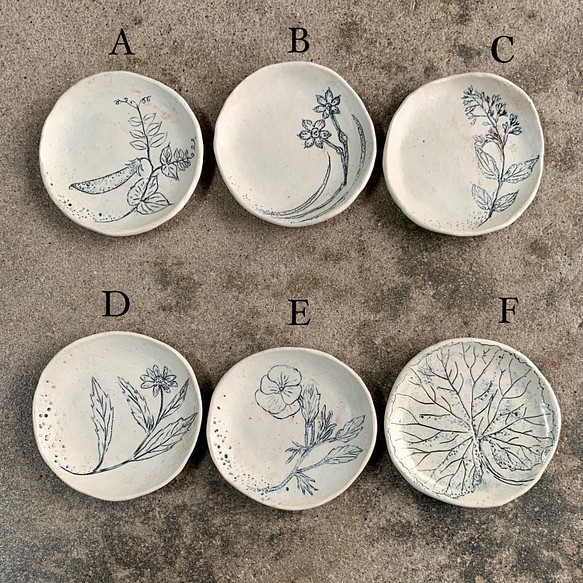「小皿・いのちのきおくシリーズ」陶磁器、ギフト、ボタニカル 1枚目の画像