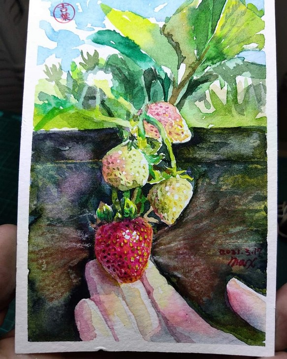食物 草莓 Strawberry 明信片105x148mm max 葉于聖 水彩明信片 Watercolor postc 第1張的照片