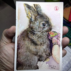 動物のかわいいウサギかわいいウサギのポストカード105x148mm最大葉の聖水彩ポストカード水彩ポスト 1枚目の画像