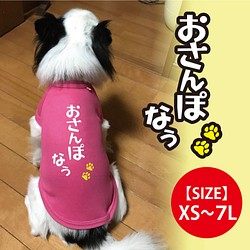 【送料無料】オリジナル犬Tシャツ「おさんぽ なぅ」（ピンク）【ゆうパケット送料サービス】 1枚目の画像