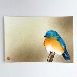 【原画】「ルリツグミ（瑠璃鶇）」　鳥の絵　インテリア　絵画　アート 1枚目の画像