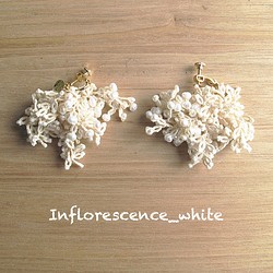 [定做] 耳環，梭織 Inflorescence_white（耳環） 第1張的照片