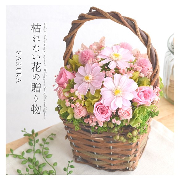 枯れない花の贈り物「SAKURA -さくら-」プリザーブドフラワー 記念日 誕生日 祝い 女性 妻 母 友達 桜 1枚目の画像