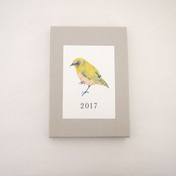 [銷售] 2017日曆和鳥類（盒裝） 第1張的照片