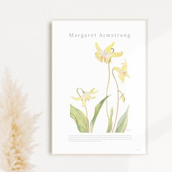 カタクリの花 | AP039 | アートポスター 植物 花 ドッグトゥースバイオレット 1枚目の画像