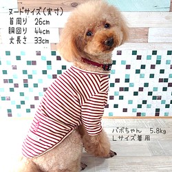 犬服 ボーダー ケチャップ 目玉焼き ほっこり ロンｔ リラックス カットソー ペット服 アクセサリー Kotoringo 通販 Creema クリーマ ハンドメイド 手作り クラフト作品の販売サイト