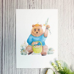 色鉛明信片- 熊 | Bear postcard 第1張的照片