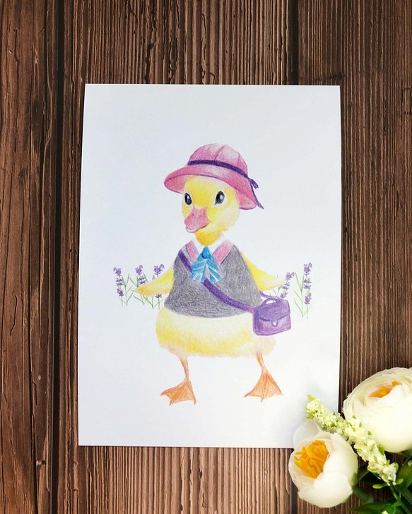 色鉛明信片- 小鴨 | Duck postcard 第1張的照片