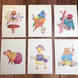 手描きの森の動物-ポストカード（6枚の写真） 1枚目の画像