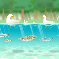 水の生き物 アート のおすすめ人気通販｜Creema(クリーマ) 国内最大の