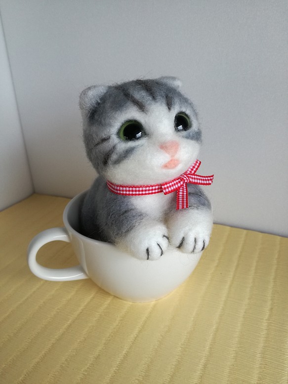 子猫 in cup 1枚目の画像