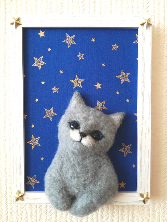 『星に願いを』な猫 1枚目の画像