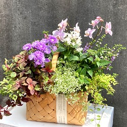 再販 季節の寄せ植え 花かご 敬老の日のプレゼント フラワー リース まもぷち 通販 Creema クリーマ ハンドメイド 手作り クラフト作品の販売サイト