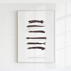 【アートポスター】クジラ　深海魚　魚　インテリアポスター　海　子供　ヴィンテージ　レトロ　ポスター　アート　インテリア　 1枚目の画像