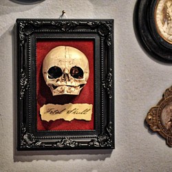 奇妙な-胎児の頭蓋骨フレームペンダント、奇妙なビクトリア朝の壁の装飾 1枚目の画像