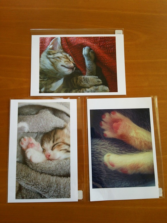 ポストカード３枚セット《うちの猫》 1枚目の画像