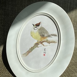手描きの水彩イラスト。台湾固有鳥類【クラウンフェザーツグミ】（フォトフレーム付） 1枚目の画像