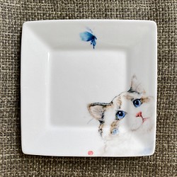 手繪6吋釉下五彩瓷方盤。布偶貓、金吉拉、虎斑貓 第1張的照片