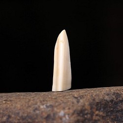 【イノシシのキバレッタ　髪留め】那珂川流域産の天然材 イノシシ牙製バレッタ 1枚目の画像